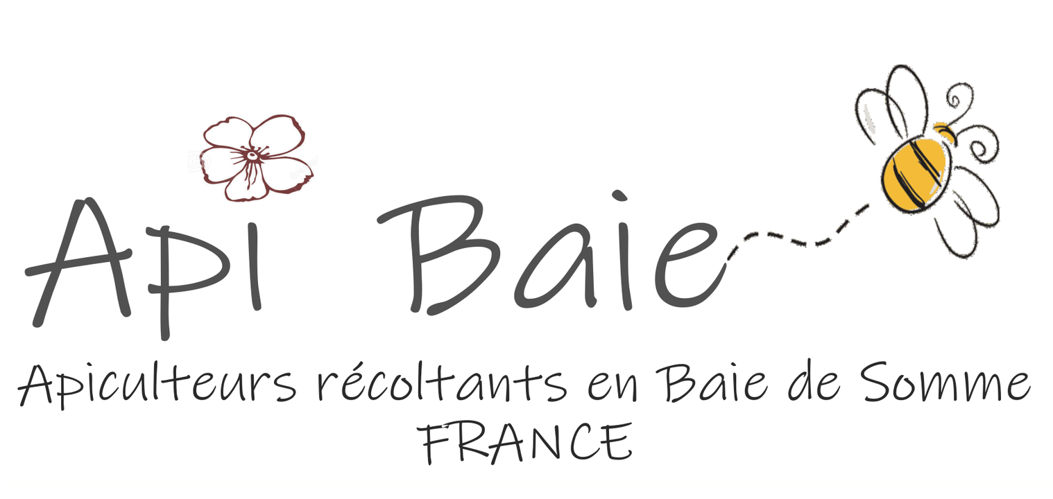 api-baie.png